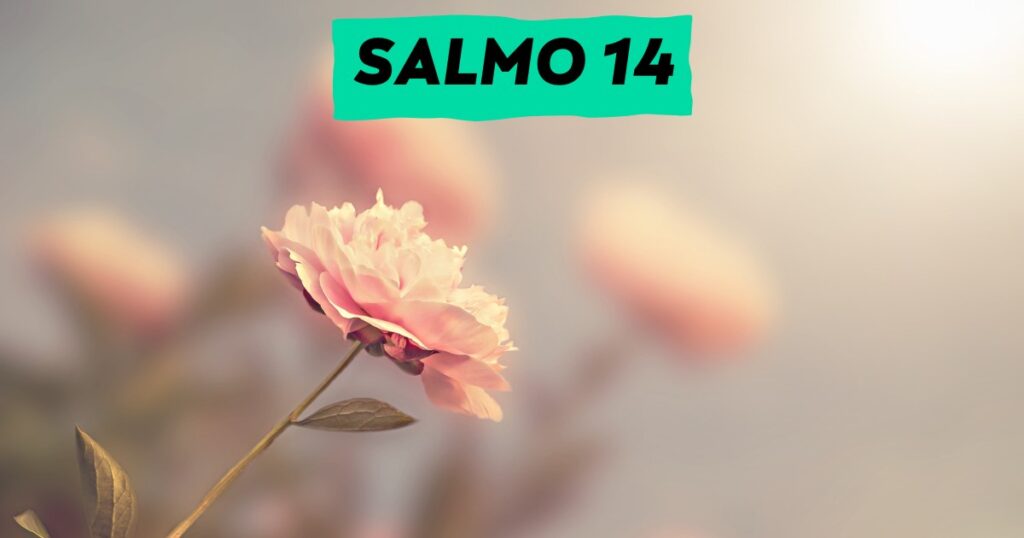 salmo 14 poder de Deus